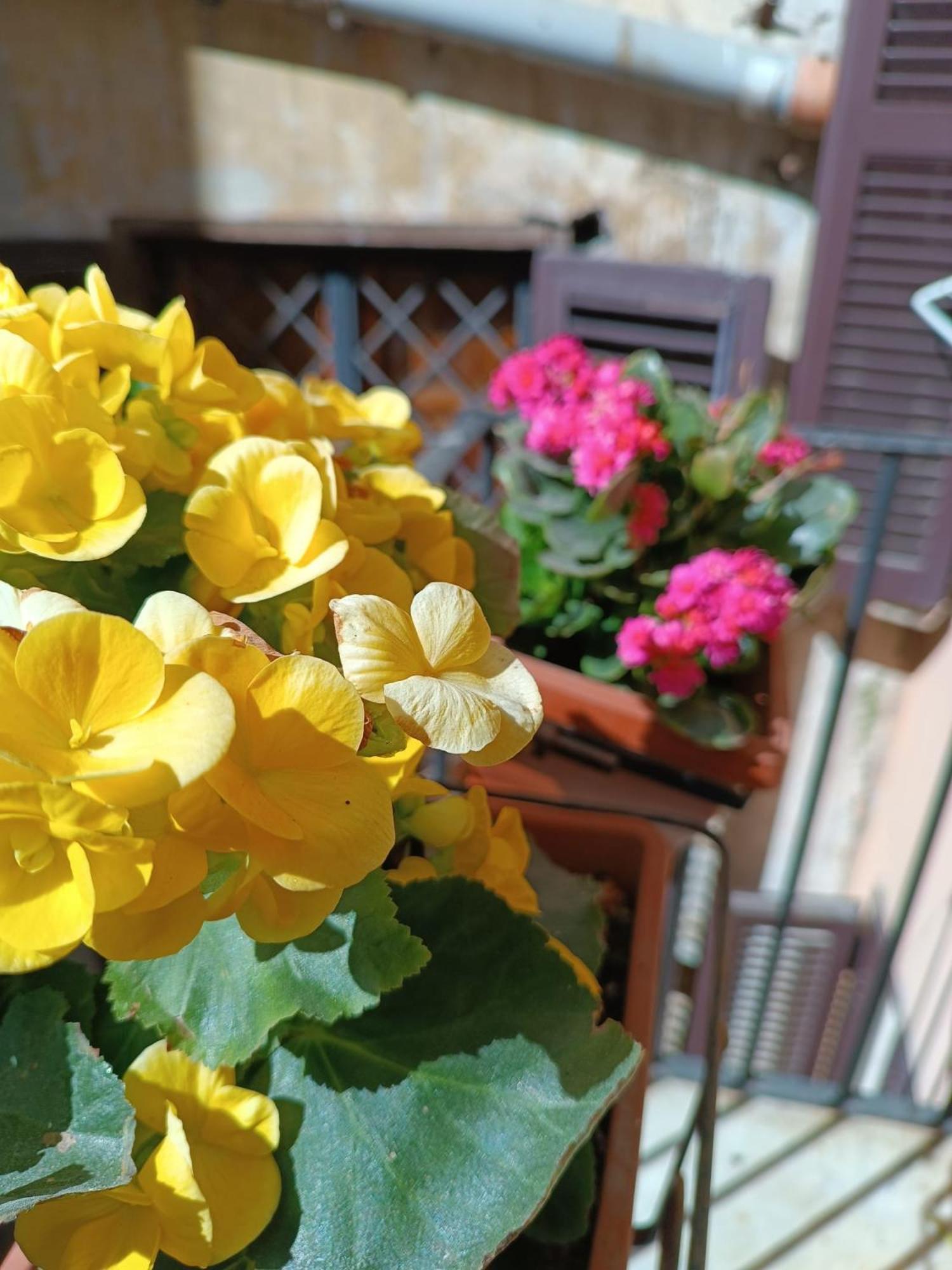 Elegant Rooms Roma - Guest House 外观 照片